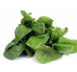 Spinach Green 1 Packet