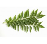 Curry Leaves 1 Packet