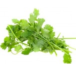 Coriander Leaves 1 Packet