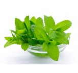 Mint Leaves 1 Packet
