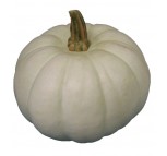 White Pumpkin 1kg